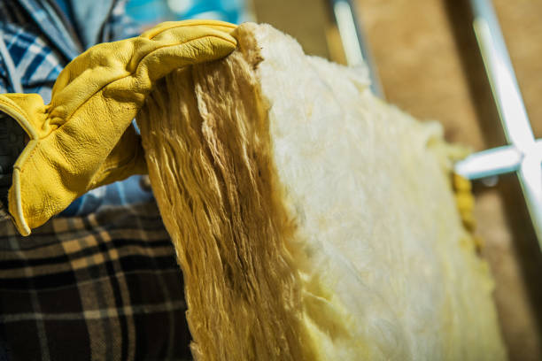 Best Insulation Removal  in Williamsburg, PA